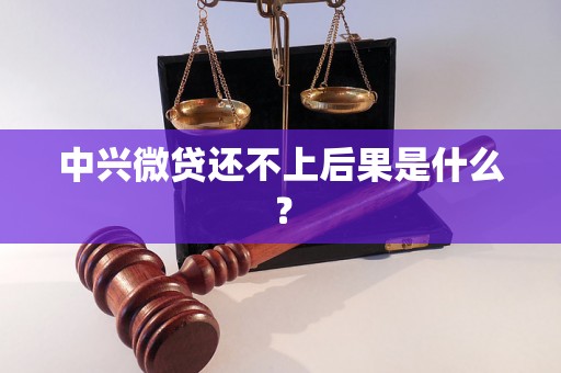 中兴微贷还不上后果是什么？