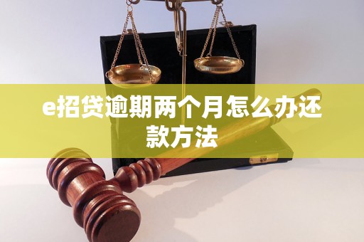 e招贷逾期两个月怎么办还款方法