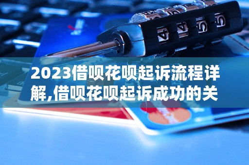 2023借呗花呗起诉流程详解,借呗花呗起诉成功的关键