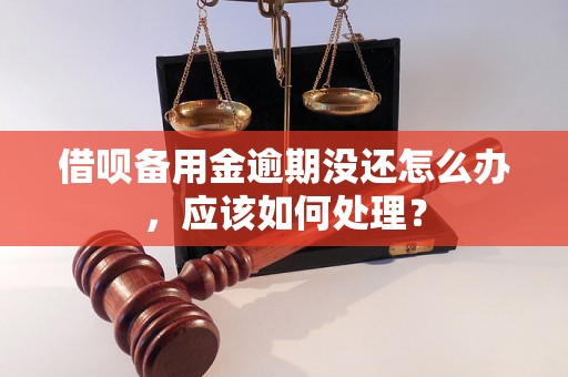 借呗备用金逾期没还怎么办，应该如何处理？