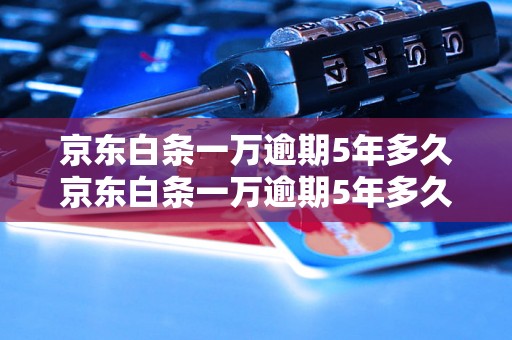 京东白条一万逾期5年多久京东白条一万逾期5年多久