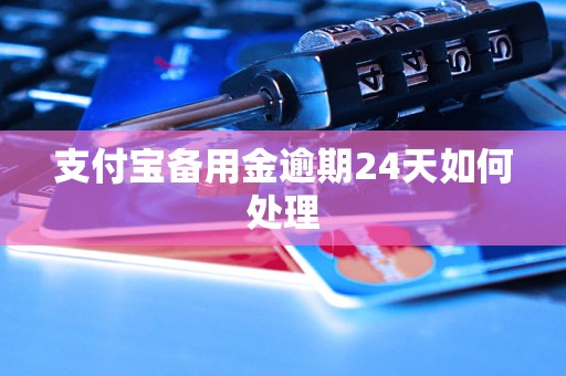 支付宝备用金逾期24天如何处理