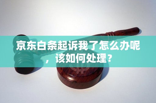 京东白条起诉我了怎么办呢，该如何处理？