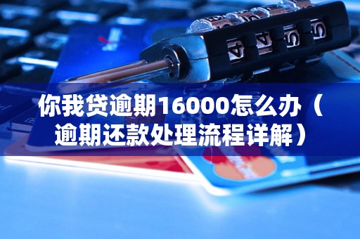 你我贷逾期16000怎么办（逾期还款处理流程详解）