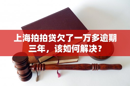 上海拍拍贷欠了一万多逾期三年，该如何解决？