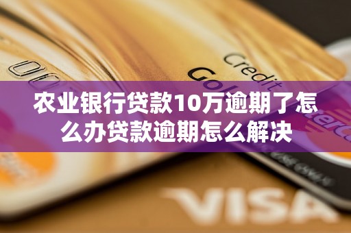 农业银行贷款10万逾期了怎么办贷款逾期怎么解决