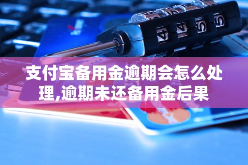 支付宝备用金逾期会怎么处理,逾期未还备用金后果