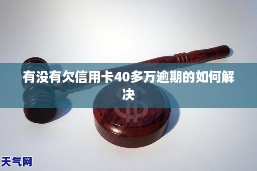 GA黄金甲有没有欠信用卡40多万逾期的如何解决(图1)