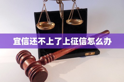 宜信还不上了上征信怎么办