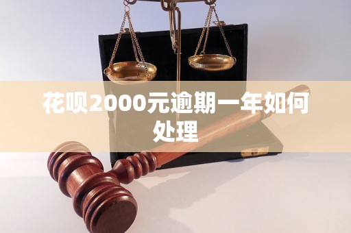 花呗2000元逾期一年如何处理