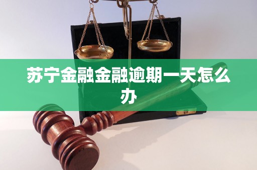 苏宁金融金融逾期一天怎么办