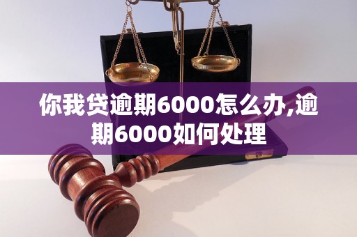 你我贷逾期6000怎么办,逾期6000如何处理