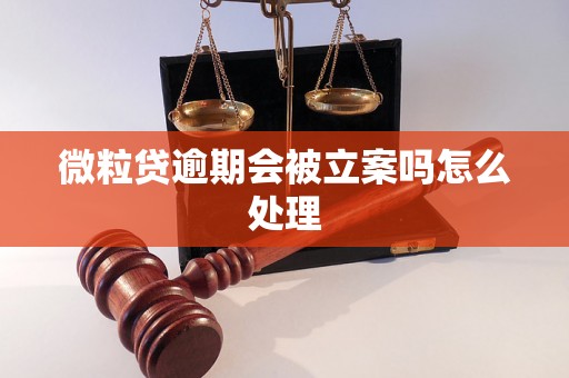 微粒贷逾期会被立案吗怎么处理