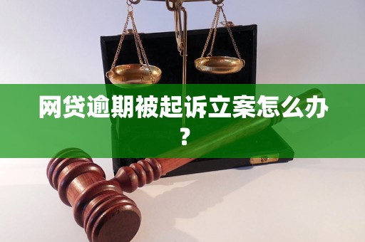 网贷逾期被起诉立案怎么办？