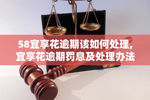 58宜享花逾期该如何处理,宜享花逾期罚息及处理办法