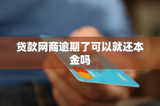 贷款网商逾期了可以就还本金吗