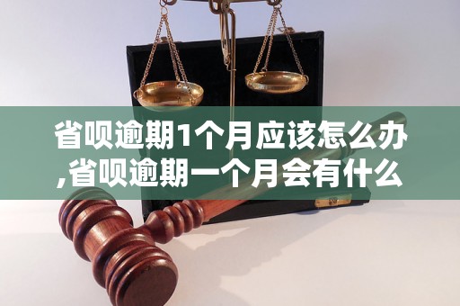 省呗逾期1个月应该怎么办,省呗逾期一个月会有什么后果