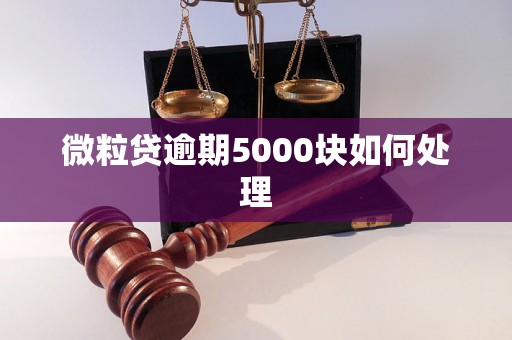 微粒贷逾期5000块如何处理