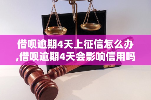 借呗逾期4天上征信怎么办,借呗逾期4天会影响信用吗