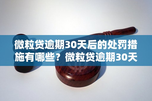 微粒贷逾期30天后的处罚措施有哪些？微粒贷逾期30天后会发生什么？