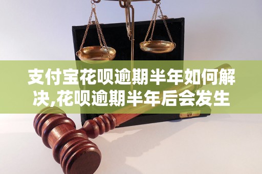 支付宝花呗逾期半年如何解决,花呗逾期半年后会发生什么