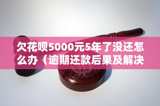 欠花呗5000元5年了没还怎么办（逾期还款后果及解决方法）