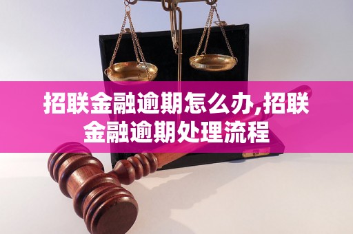 招联金融逾期怎么办,招联金融逾期处理流程