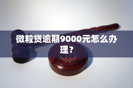 微粒贷逾期9000元怎么办理？