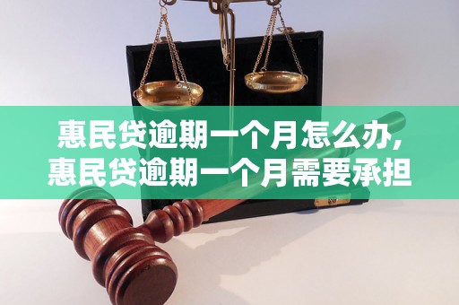 惠民贷逾期一个月怎么办,惠民贷逾期一个月需要承担什么后果