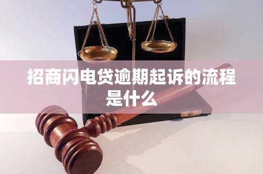 招商闪电贷逾期起诉的流程是什么