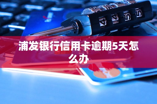 浦发银行信用卡逾期5天怎么办