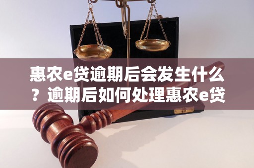 惠农e贷逾期后会发生什么？逾期后如何处理惠农e贷？