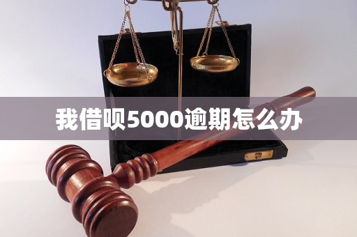 我借呗5000逾期怎么办