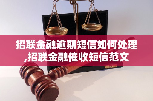 招联金融逾期短信如何处理,招联金融催收短信范文