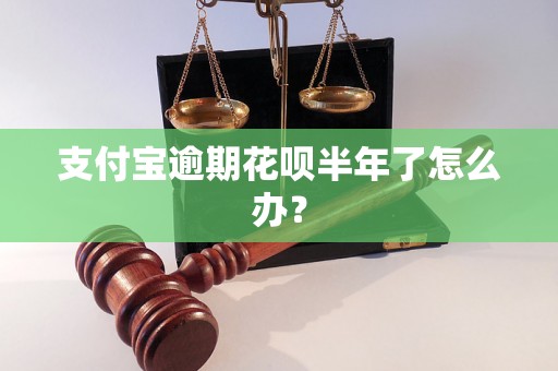 支付宝逾期花呗半年了怎么办？