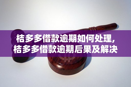 桔多多借款逾期如何处理,桔多多借款逾期后果及解决办法