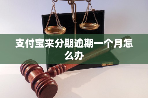 支付宝来分期逾期一个月怎么办