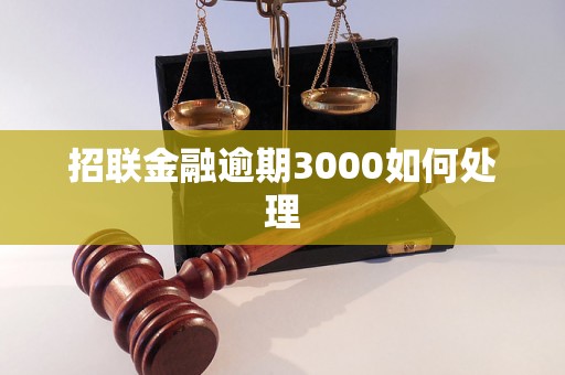 招联金融逾期3000如何处理