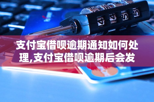 支付宝借呗逾期通知如何处理,支付宝借呗逾期后会发生什么