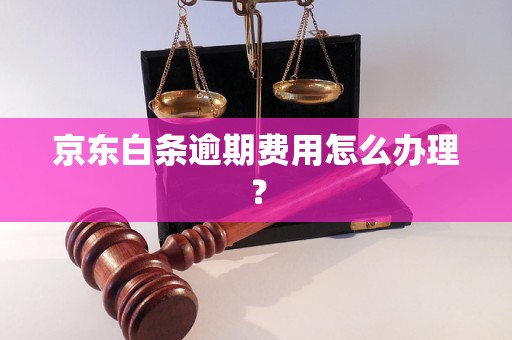 京东白条逾期费用怎么办理？