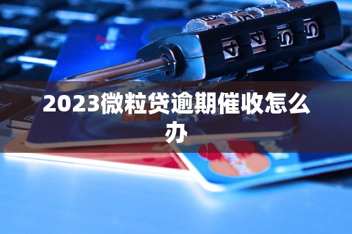 2023微粒贷逾期催收怎么办