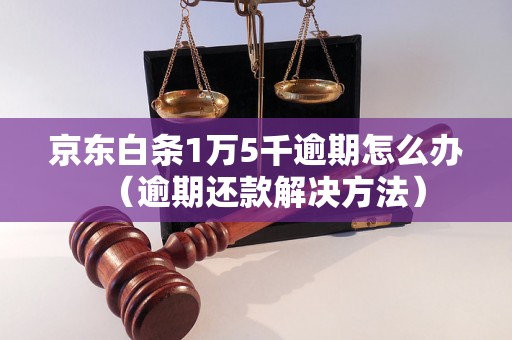 京东白条1万5千逾期怎么办（逾期还款解决方法）