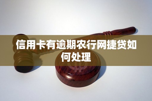 信用卡有逾期农行网捷贷如何处理