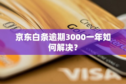 京东白条逾期3000一年如何解决？