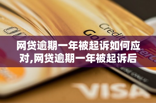 网贷逾期一年被起诉如何应对,网贷逾期一年被起诉后的法律责任