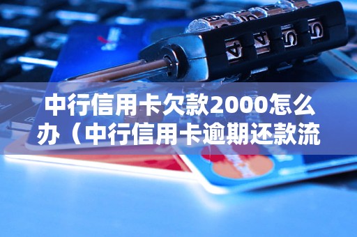 中行信用卡欠款2000怎么办（中行信用卡逾期还款流程详解）