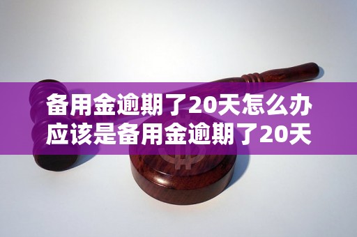 备用金逾期了20天怎么办应该是备用金逾期了20天怎么办需要进行哪些处理措施