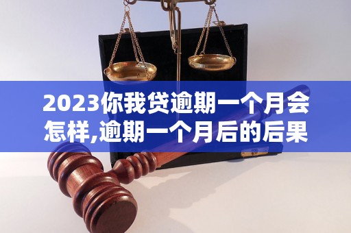 2023你我贷逾期一个月会怎样,逾期一个月后的后果有哪些