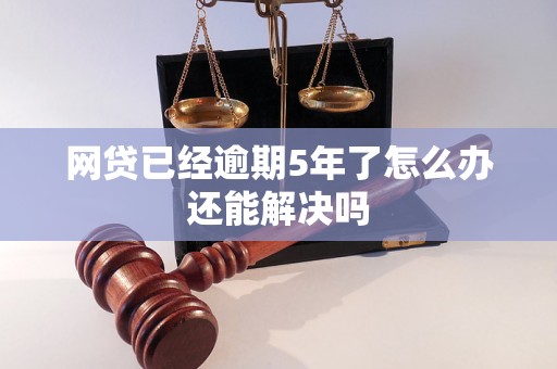 网贷已经逾期5年了怎么办还能解决吗