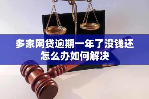 多家网贷逾期一年了没钱还怎么办如何解决